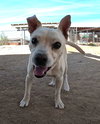 Boo - Photo 7
