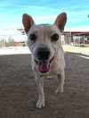 Boo - Photo 8