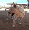 Boo - Photo 13