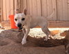 Boo - Photo 15
