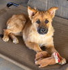 Graham - Photo 3