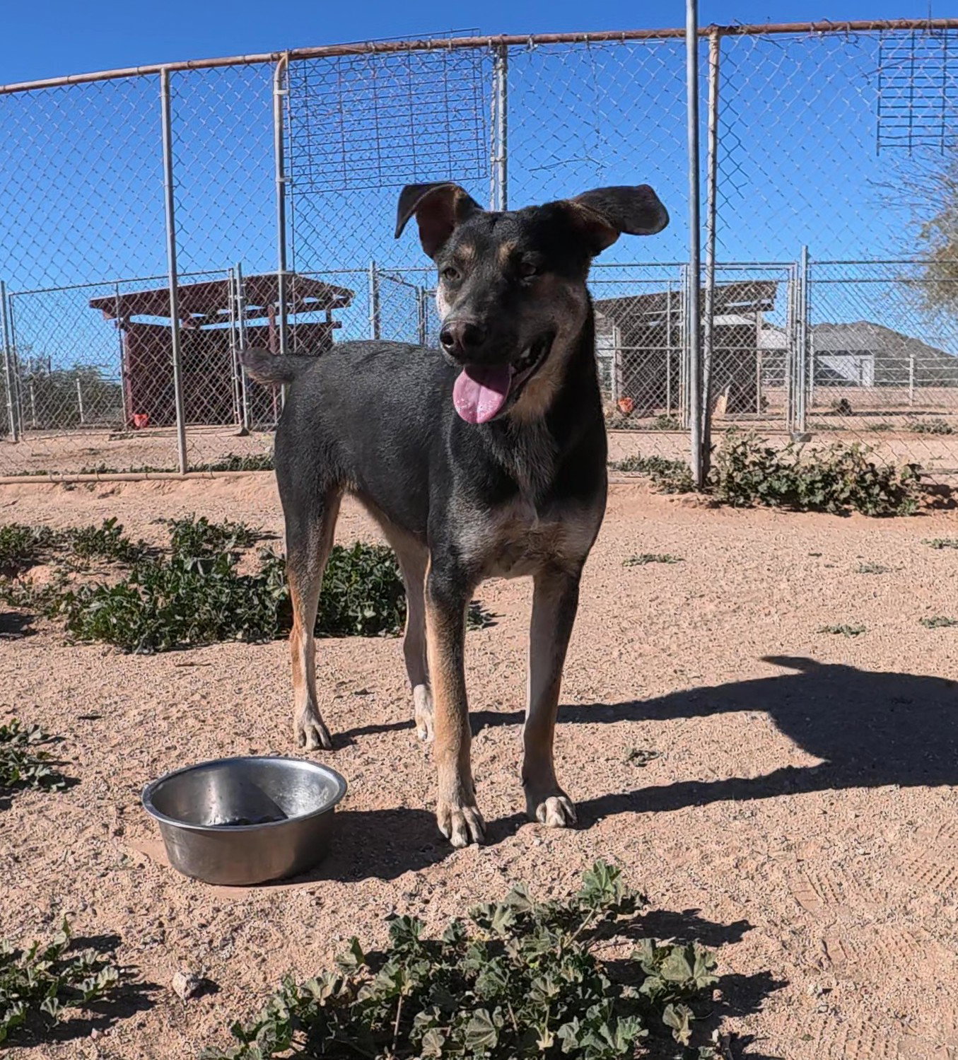 Nyla Image