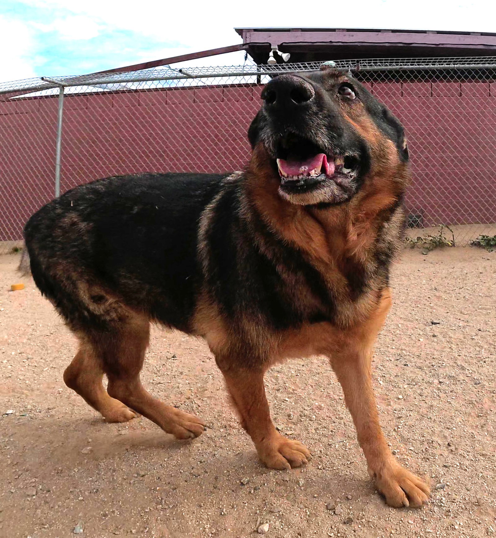 Abby Image