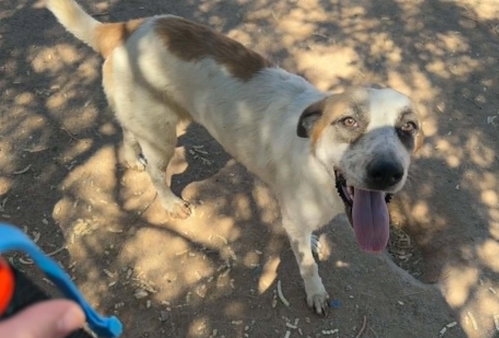 Photo 2 of Lucky