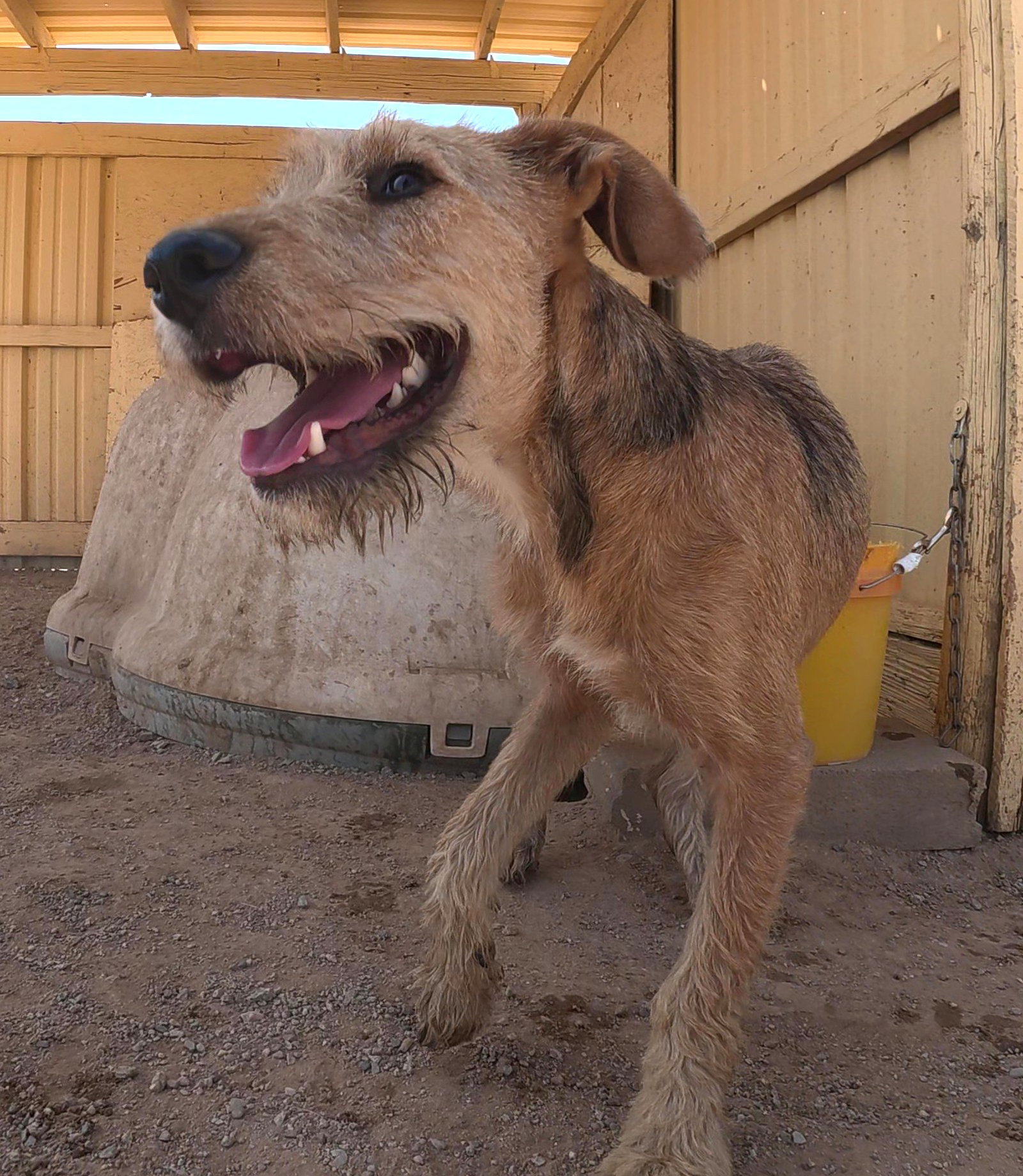 Oliver, photo 9