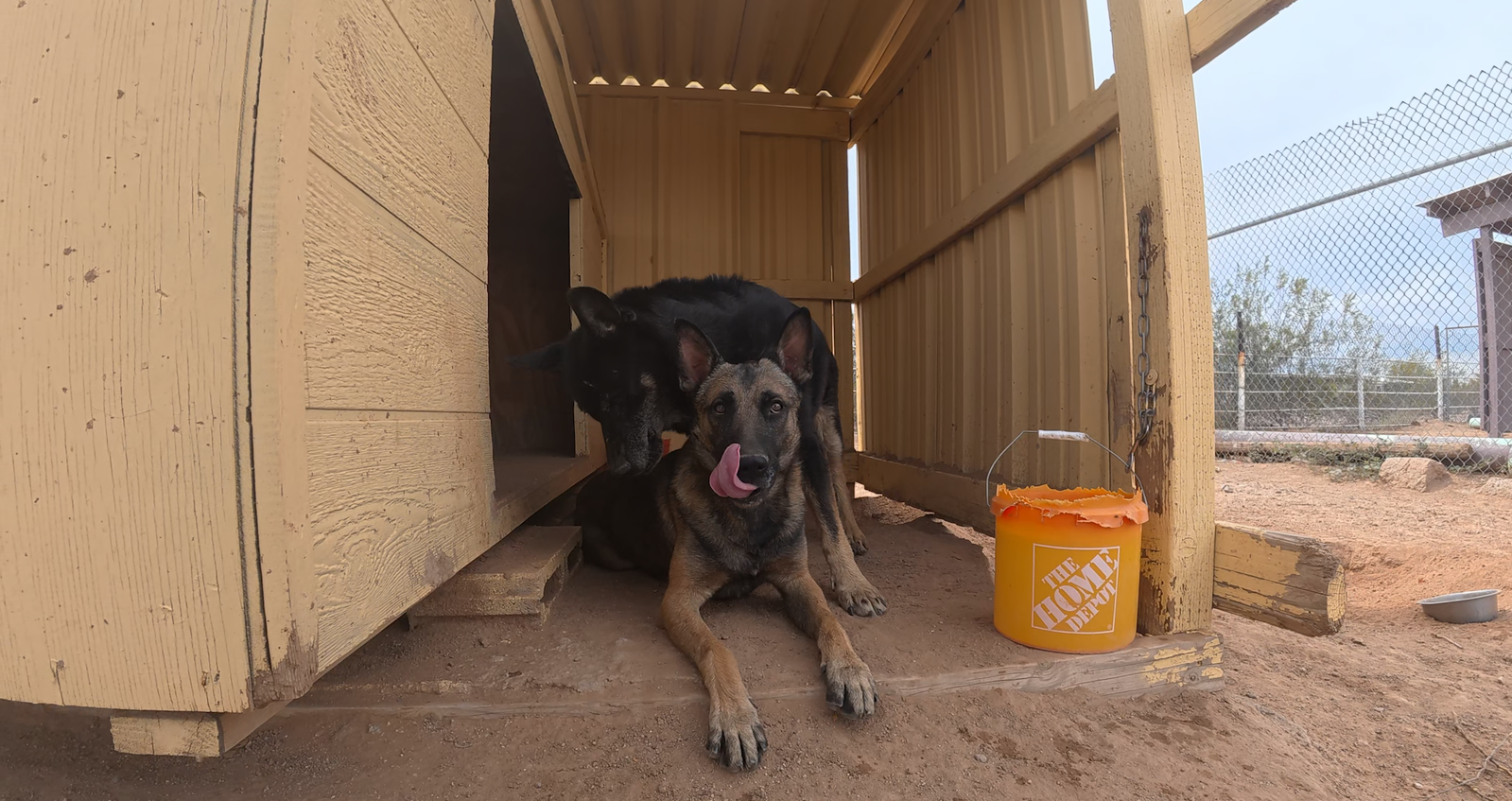 Max, photo 5