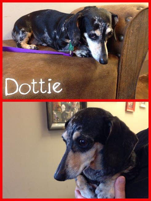 Dottie