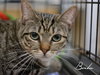 Birdie - Photo 7
