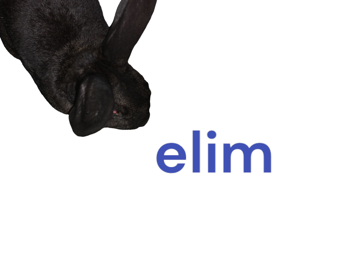 adoptable Rabbit in Spring, TX named Elim Garak