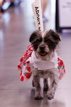 Missy - Photo 6