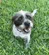 Missy - Photo 5