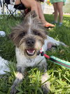 Missy - Photo 1