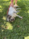 Missy - Photo 2