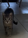 Grayson - Photo 6