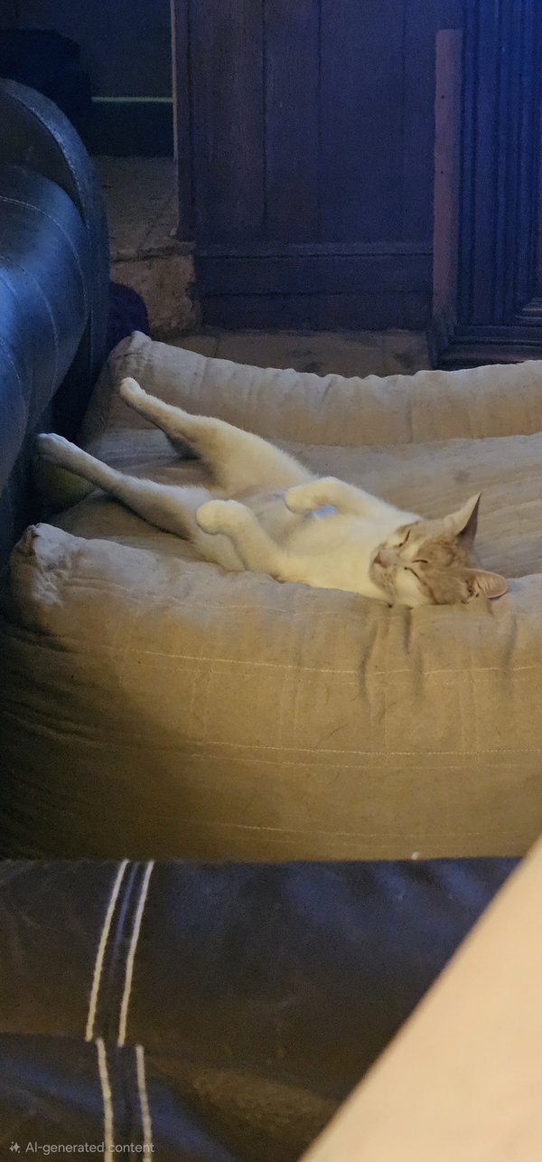 Marmalade