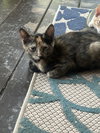 Fiona - Photo 1