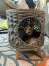 Fiona - Photo 2