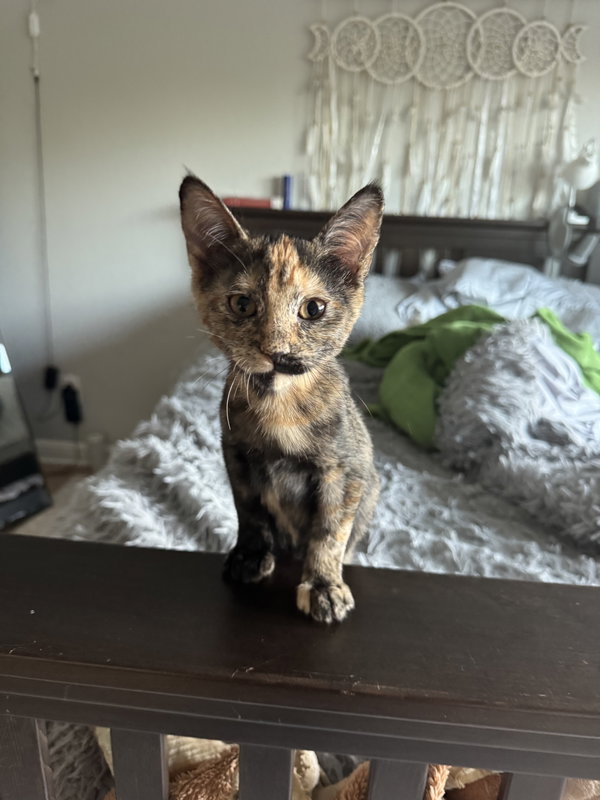 Fiona