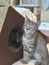 Mibble - Photo 3