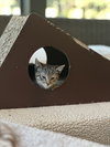 Mibble - Photo 4