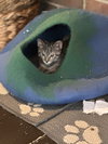 Mibble - Photo 5