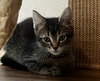 Tony - Photo 4