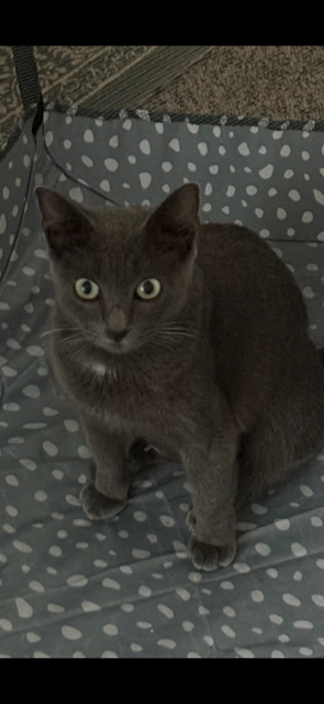 Tony