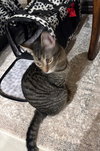 Tony - Photo 7