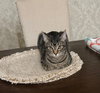 Tony - Photo 9