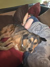 Bruno - Photo 3