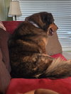 Bruno - Photo 4