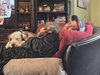 Bruno - Photo 9