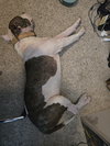 Ben - Photo 10