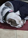 Ben - Photo 15