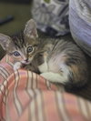 Bobbie - Photo 1