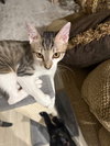 Toby - Photo 5