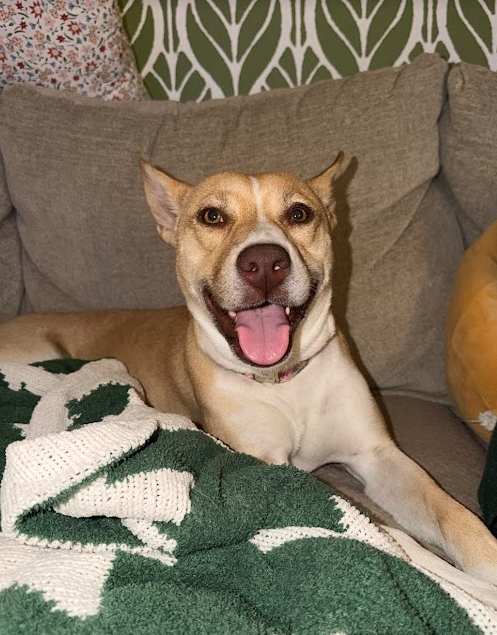 Bonnie photo 4