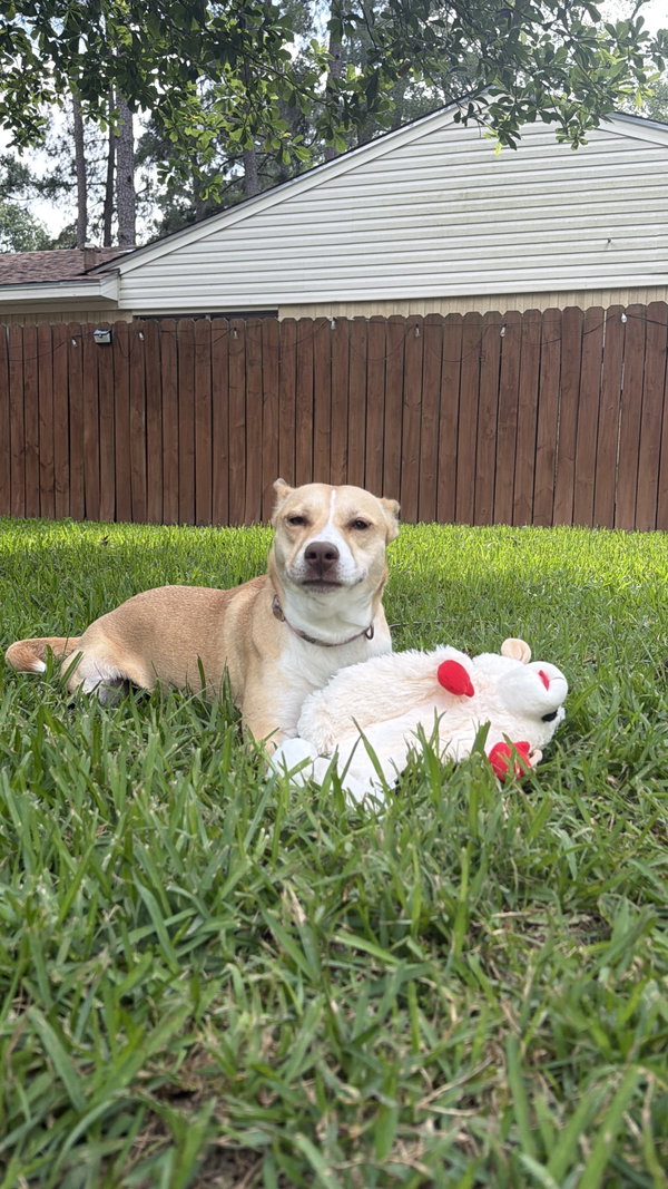 Bonnie