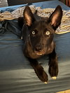 Stormy - Photo 1