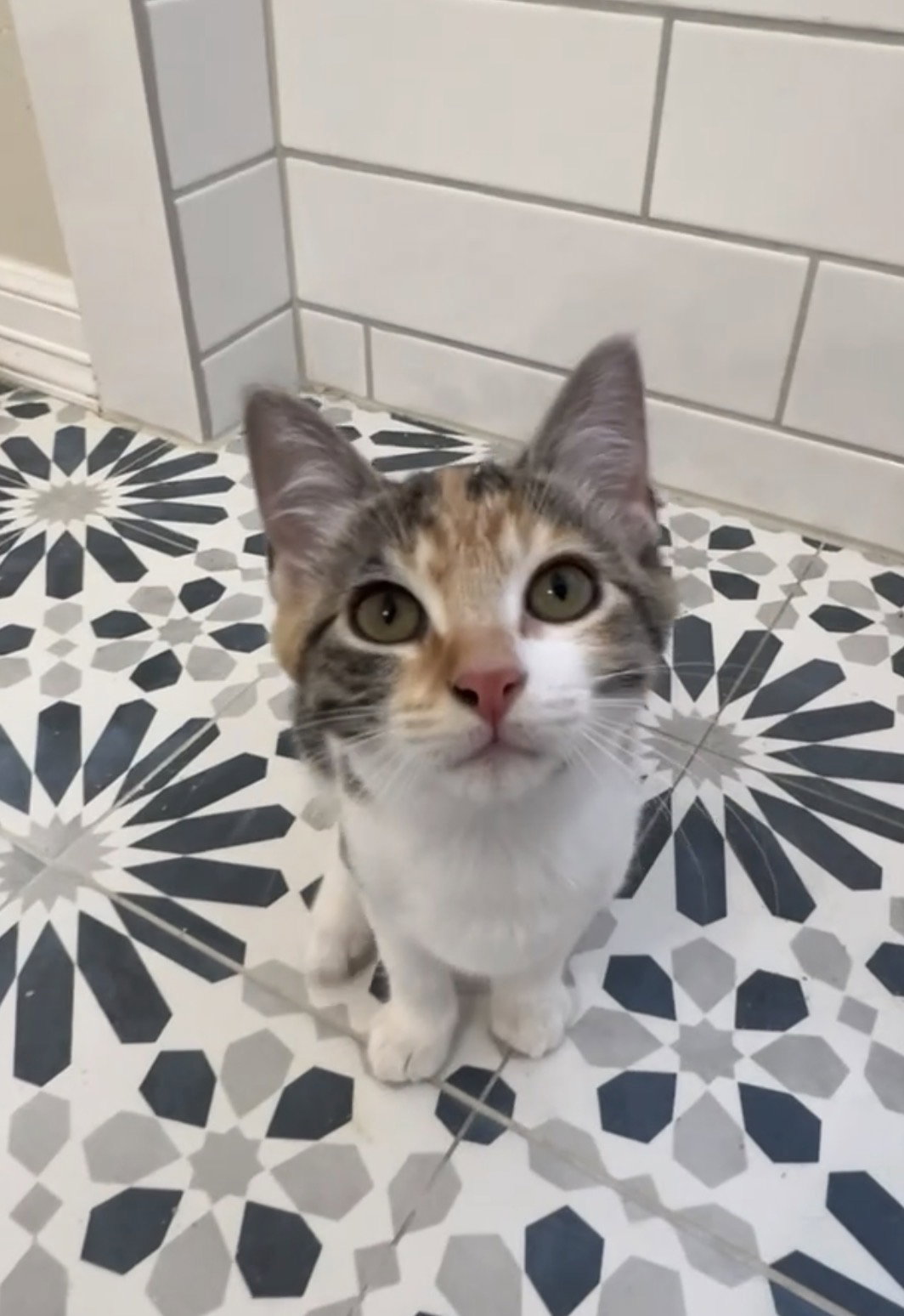 Ellie