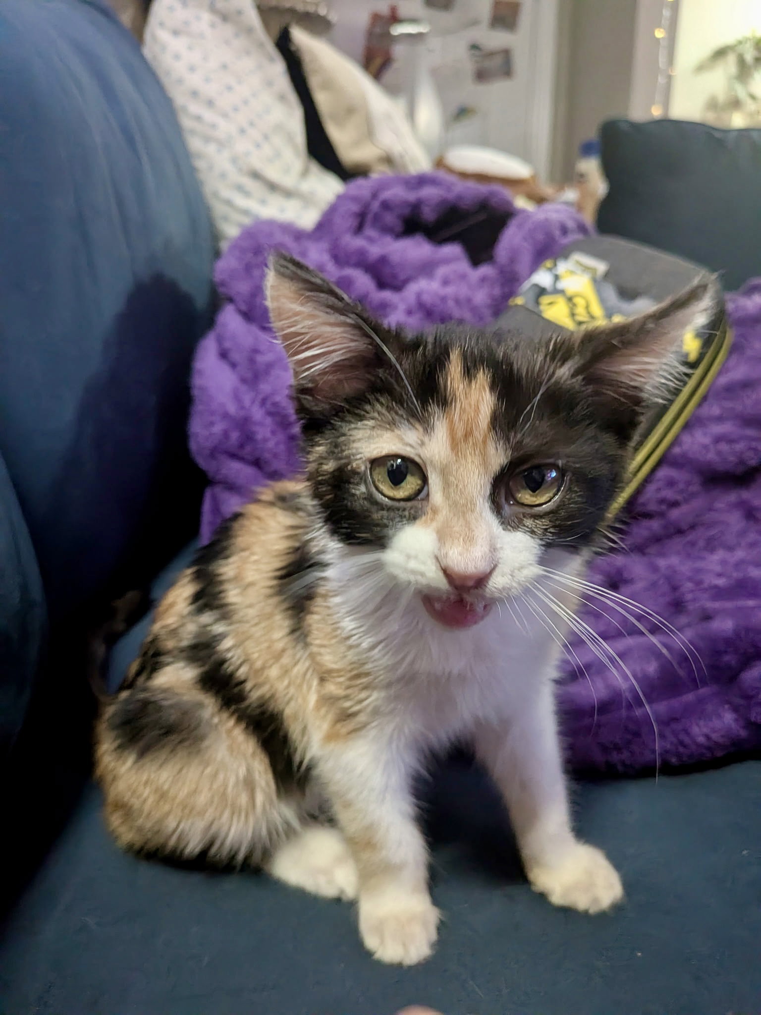 Princess Buttercup Image