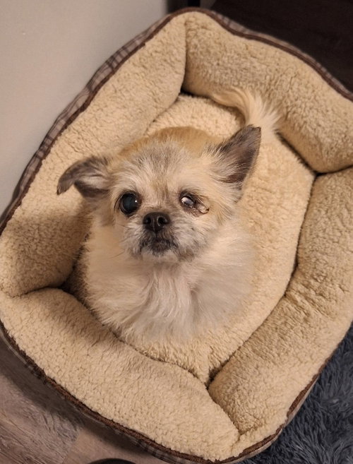 Lady JellyBean, photo 5