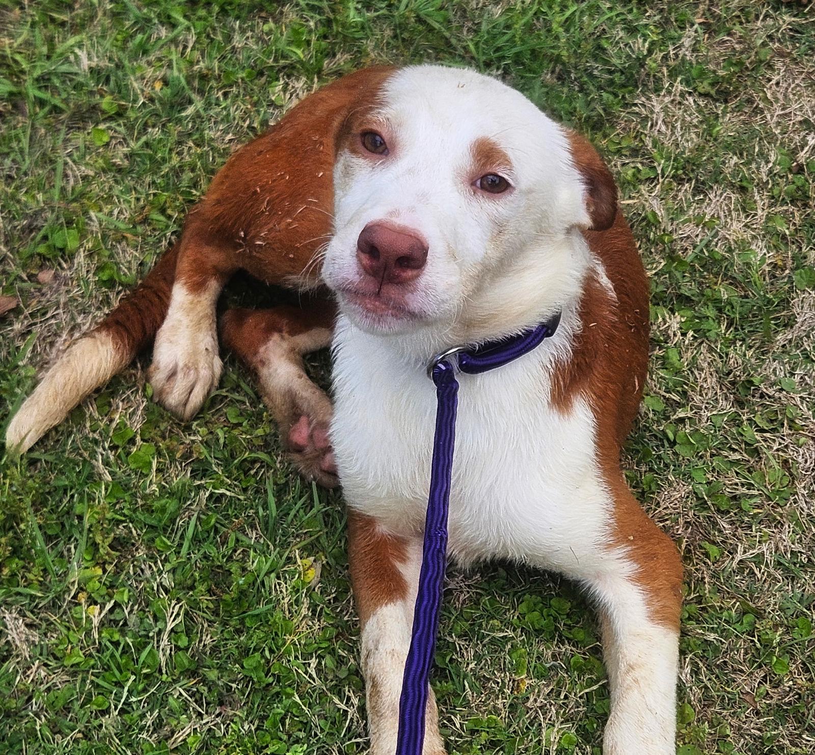 Keira Image