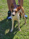 Mater - Photo 1