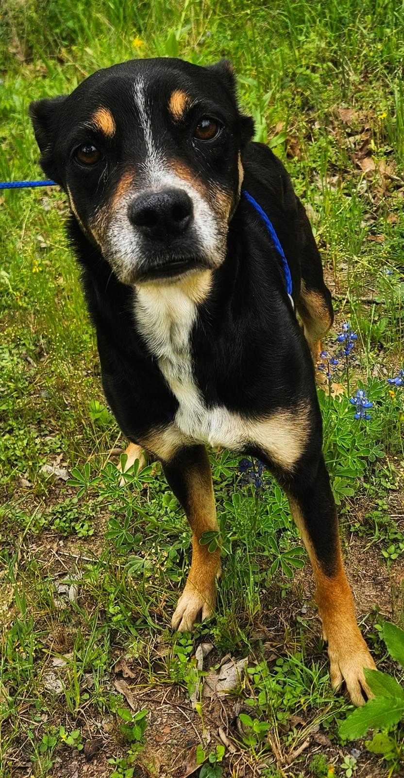 Zoe