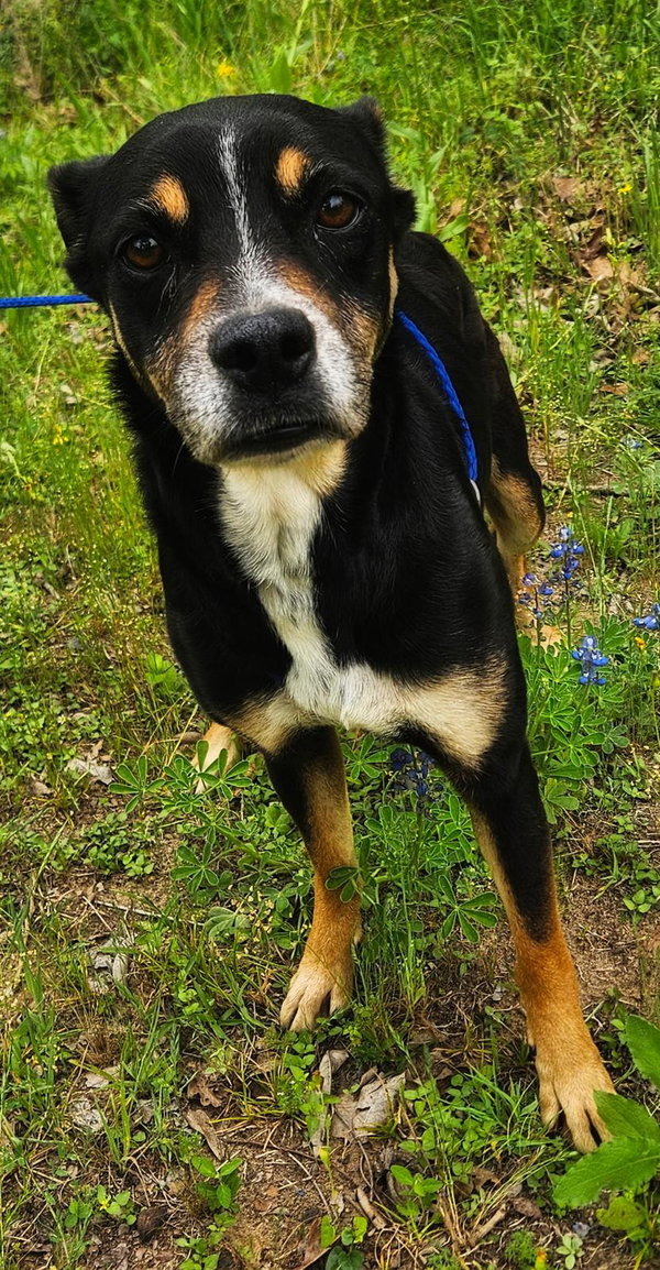 Zoe