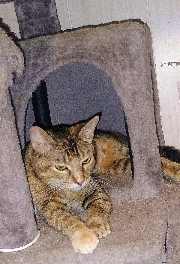 Sally