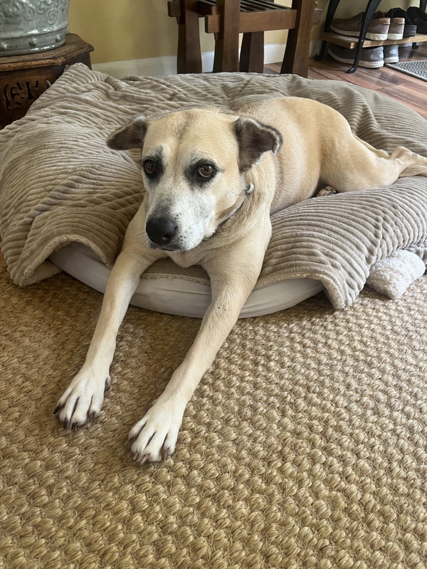Maggie