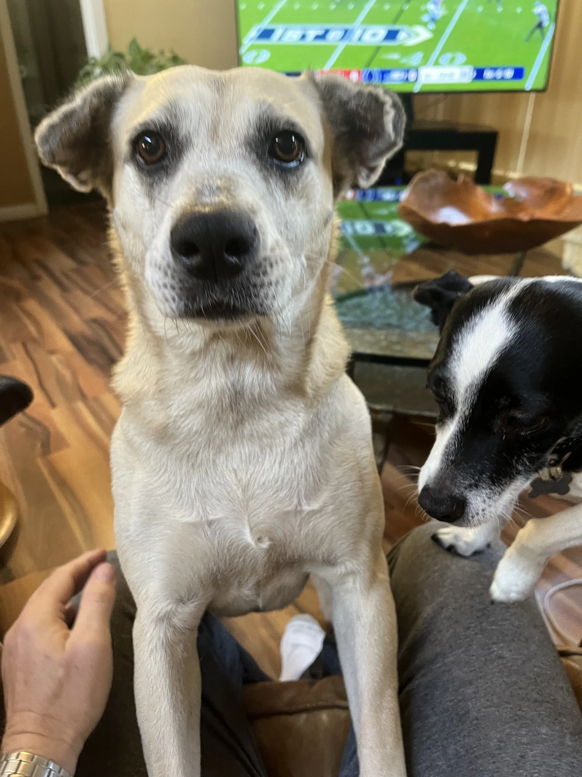 Maggie