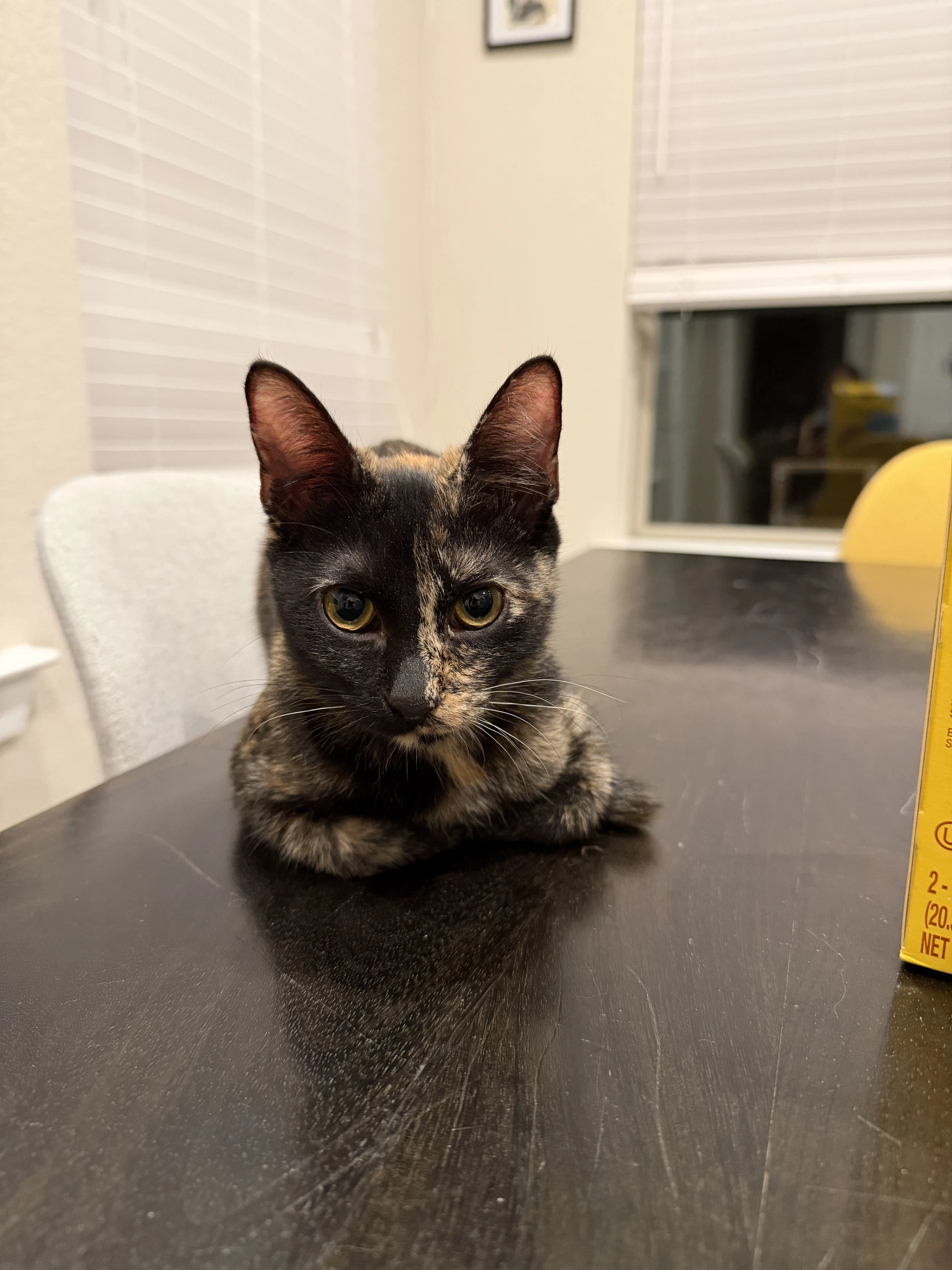 Ripley